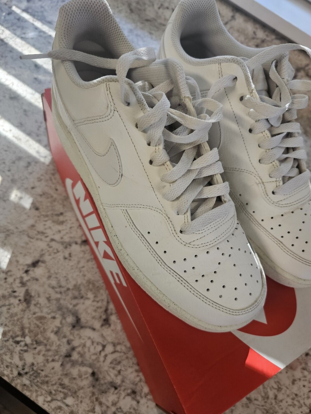 Nike Court Zvidion Low